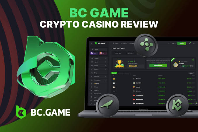 Understanding the BC.Game Login Process A Comprehensive Guide -368134276