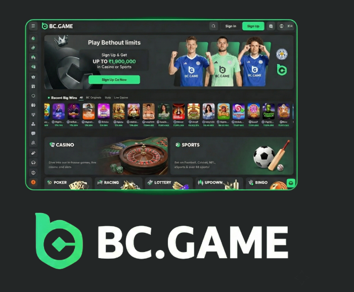 Your Comprehensive BC.Game Bonus Guide